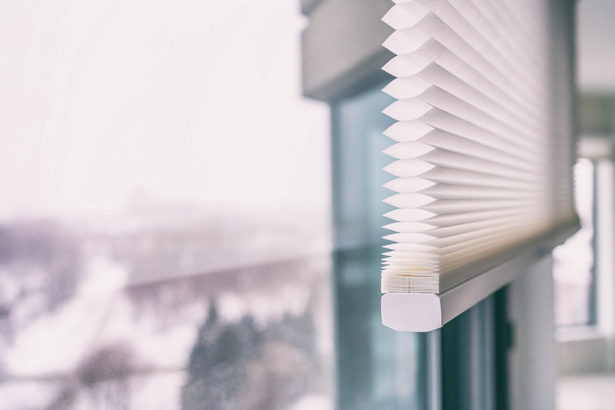 Home blinds - cordless cellular honeycomb pleated shade modern shades | The Blind Guy of 30A in Beach, FL